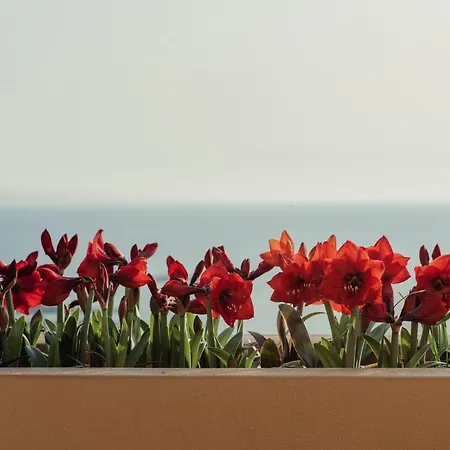 Nona Maria 빌라 Minia